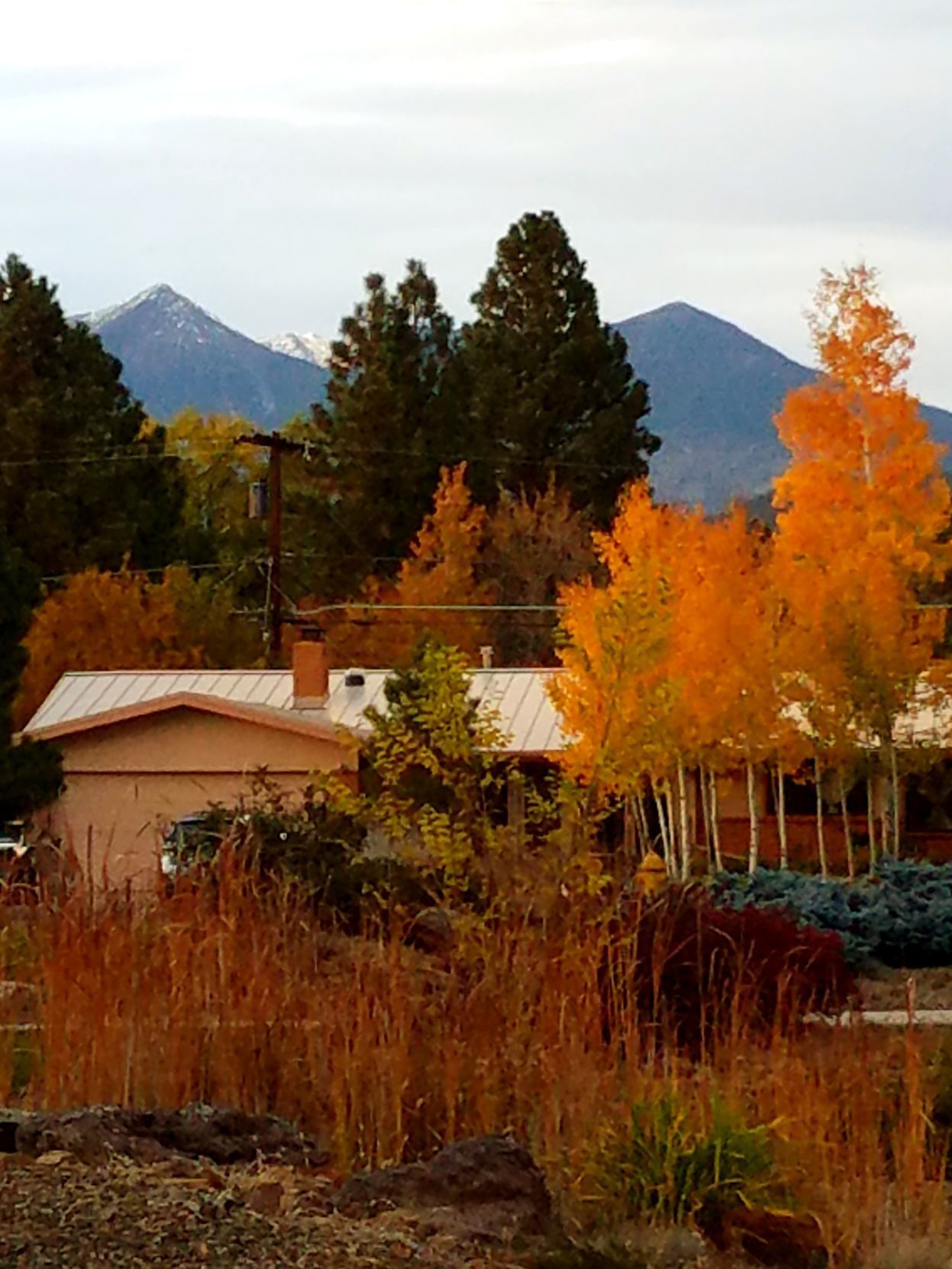 Orange you glad its fall?